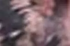 AllSaints rochie HADLEY COLCA midi, evazati imagine