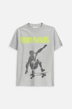 Coccodrillo tricou copii culoarea gri, cu imprimeu, EVERYDAY BOY A imagine