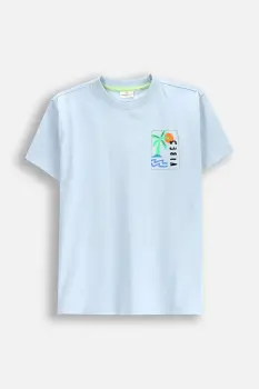 Coccodrillo tricou de bumbac pentru copii cu imprimeu, EVERYDAY BOY imagine