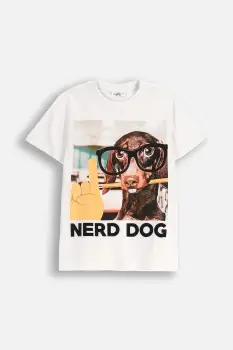 Coccodrillo tricou de bumbac pentru copii culoarea alb, cu imprimeu, EVERYDAY BOY A imagine