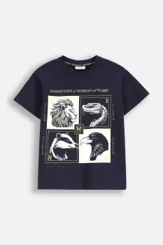 Coccodrillo tricou de bumbac pentru copii culoarea bleumarin, cu imprimeu, LICENCE BOY WARNER BROS imagine