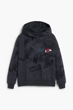 Desigual hanorac de bumbac pentru copii culoarea gri, cu gluga, cu imprimeu, 25WBSK08 imagine