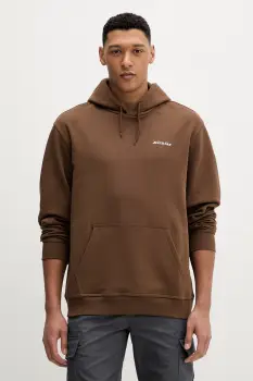 Dickies bluza imagine