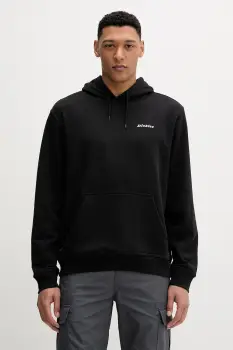 Dickies bluza imagine