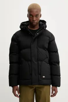 Dickies geaca culoarea negru, de iarna, DK0A87OH imagine