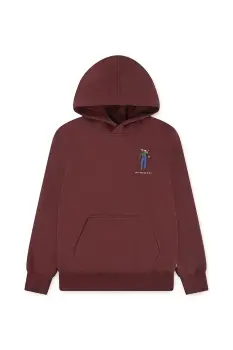 Levi's bluza copii SADDLE MAN HOODIE culoarea bordo, cu gluga, uni, 8EN717 imagine