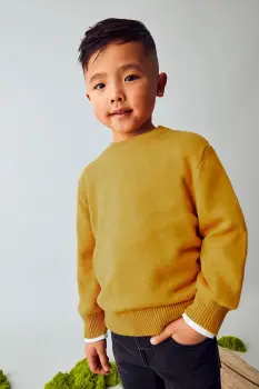 Mayoral pulover de bumbac pentru copii culoarea galben, light, 311 imagine