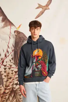 Medicine bluza culoarea gri, cu gluga, cu imprimeu imagine