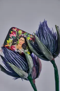 Medicine portofel imagine