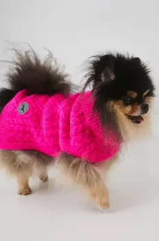 Medicine pulover pentru un animal de companie imagine