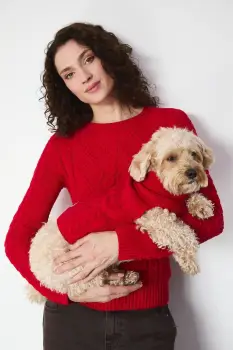 Medicine pulover pentru un animal de companie imagine