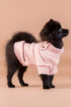 PAIKKA pulover pentru catel Furry Knit Sweater 34 x 18 x 1,4 cm imagine