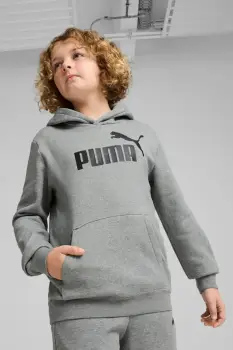 Puma bluza copii ESS No. 1 Logo Hoodie FL B culoarea gri, cu gluga, cu imprimeu, 684908 imagine
