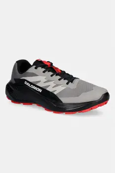 Salomon pantofi ALPHAGLIDE imagine