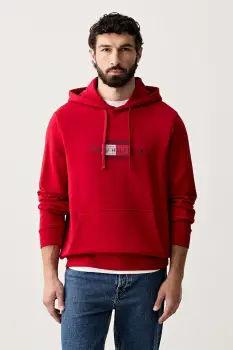 Tommy Hilfiger hanorac cu gluga pentru barbati din bumbac imagine