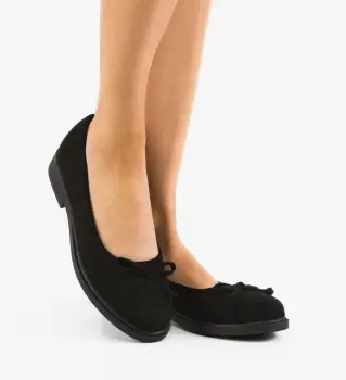 Balerini dama Bakkam Negri imagine