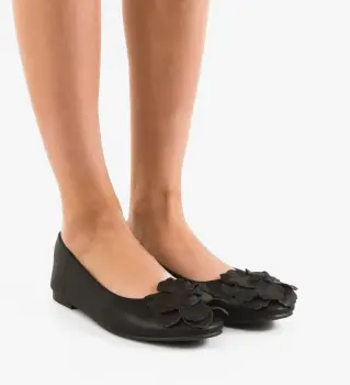 Balerini dama Dawi Negri imagine