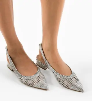 Balerini dama Frenchie Argintii imagine