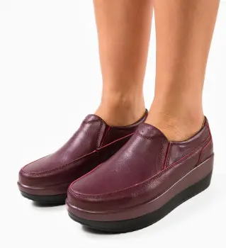 Pantofi Casul Freeman Grena imagine