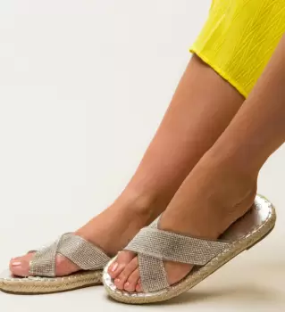 Papuci Baxter Argintii imagine