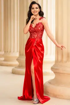 Rochie de seara rosie Vanessa cu fusta din tafta si bust brodat imagine