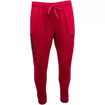 Pantaloni barbati Nike FC Dri-Fit DC9016-614 imagine