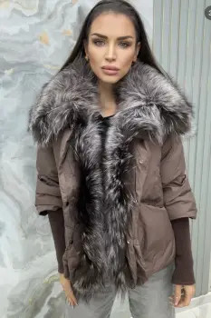 Paltoane si Geci imagine