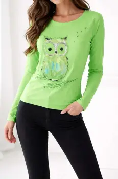 Bluza verde din bumbac  pictata manual ,cu bufnita imagine