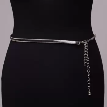 Curea metalica argintie imagine