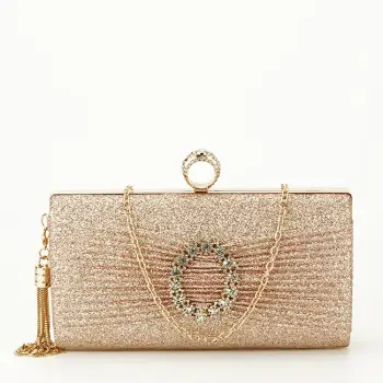 Geanta clutch sampaniu cu brosa BYH-8815 05 imagine