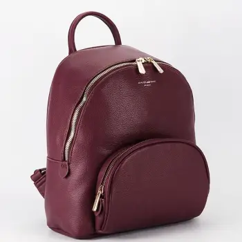 Rucsac bordo casual CM7800 18 imagine