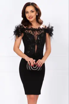 Rochie eleganta Azaleea cambrata neagra cu broderie pretioasa si fulgi imagine